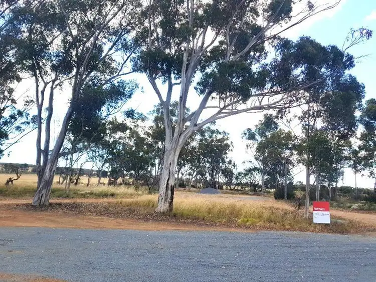 2 McNamara Road, Badgingarra WA 6521