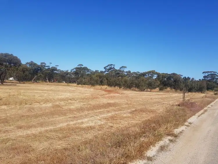 17 Bottlebrush View
