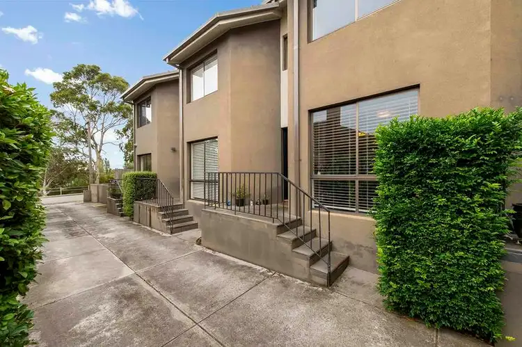 3/113 Tennyson  Street