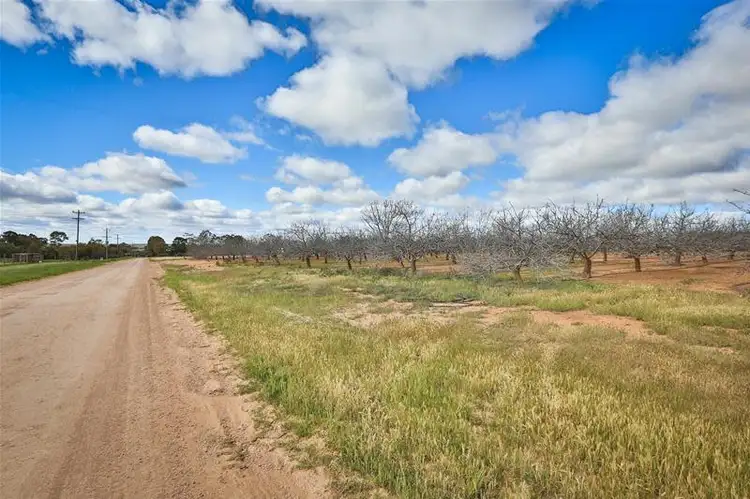 Second view of Homely land listing, Lot 4/ Barnetts Road, Red Cliffs VIC 3496