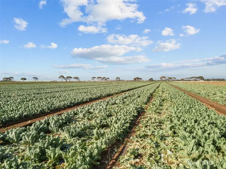 Main view of Homely rural property listing, 2 Port Gawler Road, Port Gawler SA 5501