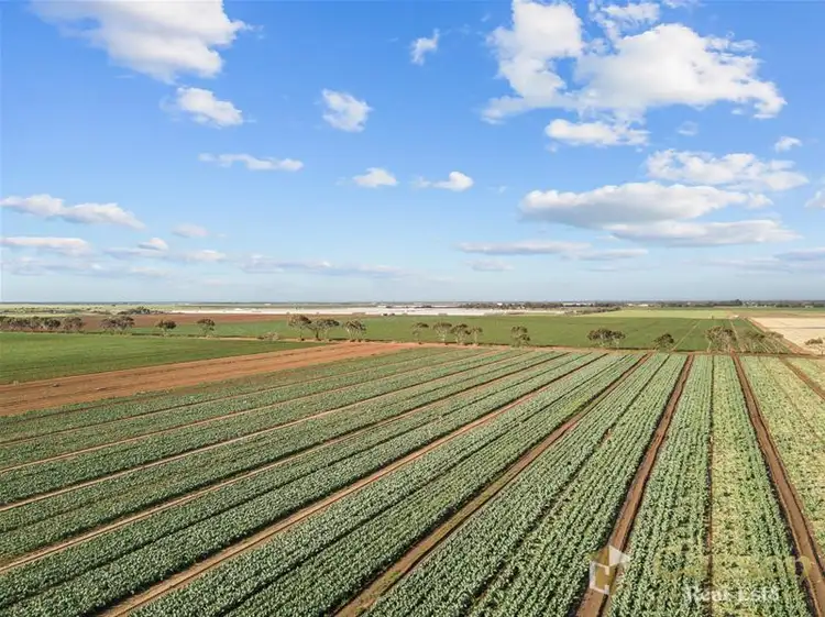 Second view of Homely rural property listing, 2 Port Gawler Road, Port Gawler SA 5501