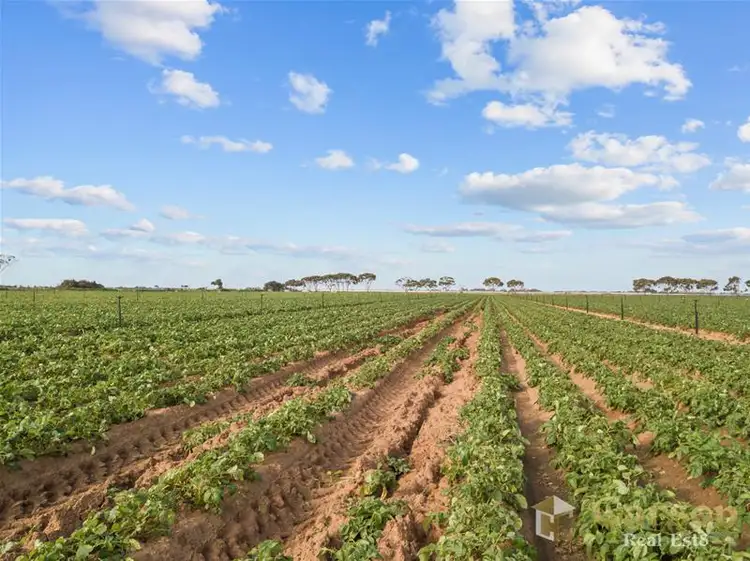 Fourth view of Homely rural property listing, 2 Port Gawler Road, Port Gawler SA 5501