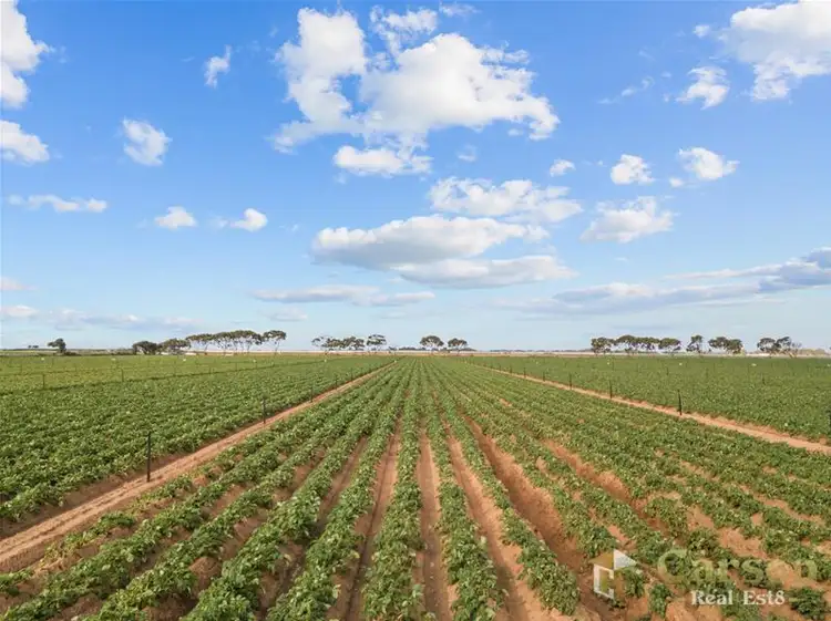 Fifth view of Homely rural property listing, 2 Port Gawler Road, Port Gawler SA 5501