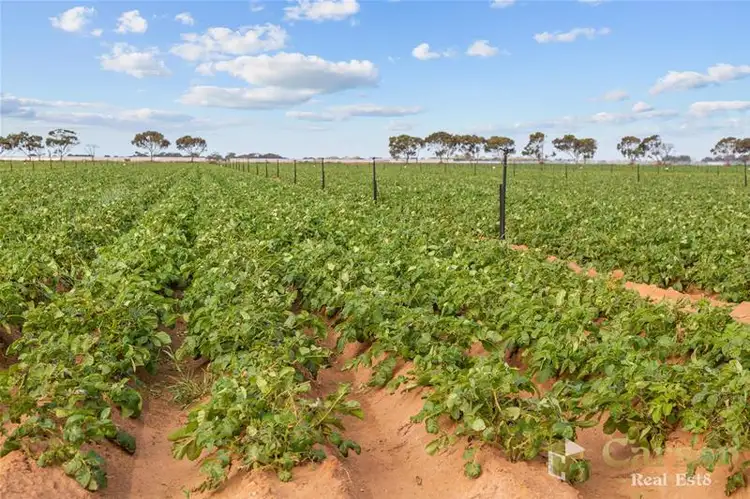Sixth view of Homely rural property listing, 2 Port Gawler Road, Port Gawler SA 5501