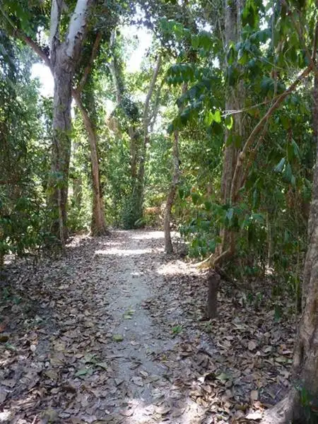 Sixth view of Homely land listing, LOT 114/Lot 114 Coral Close, Mission Beach QLD 4852