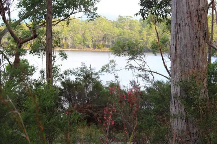 Sixth view of Homely land listing, Lot 2 Hastings Bay Esplanade, Hastings TAS 7109