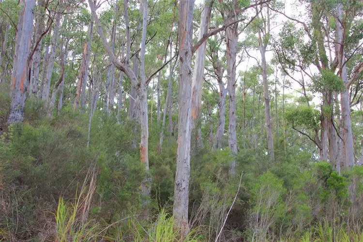 Seventh view of Homely land listing, Lot 2 Hastings Bay Esplanade, Hastings TAS 7109