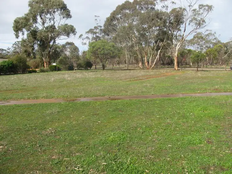 Fourth view of Homely land listing, Lot 3 Vogelsang Road, Padthaway SA 5271