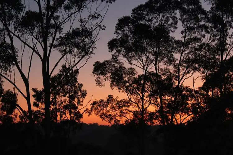 Seventh view of Homely land listing, Lot 4/74 Halcrows Road, Glenorie NSW 2157