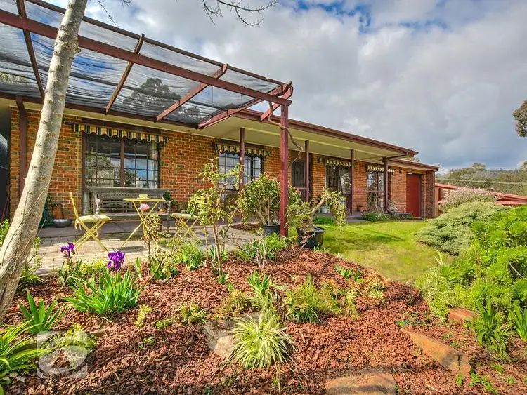 Main view of Homely house listing, 3 Mintanta Drive, Banksia Park SA 5091