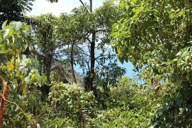 Third view of Homely land listing, LOT 79/10 Bicton Close, Bingil Bay QLD 4852