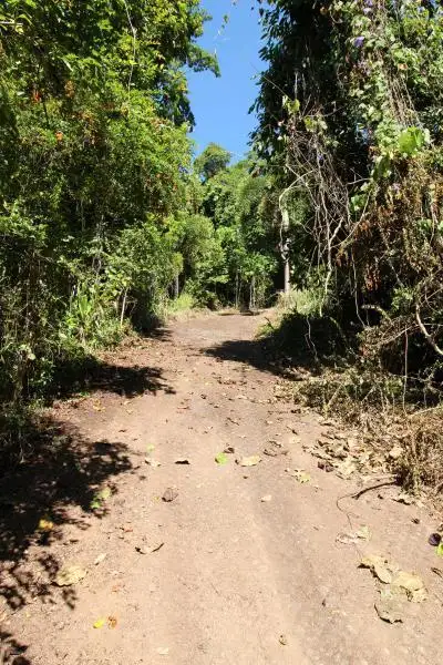 Fifth view of Homely land listing, LOT 79/10 Bicton Close, Bingil Bay QLD 4852