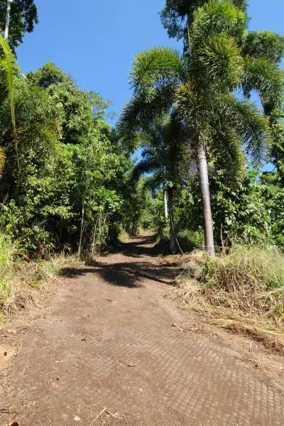 Sixth view of Homely land listing, LOT 79/10 Bicton Close, Bingil Bay QLD 4852