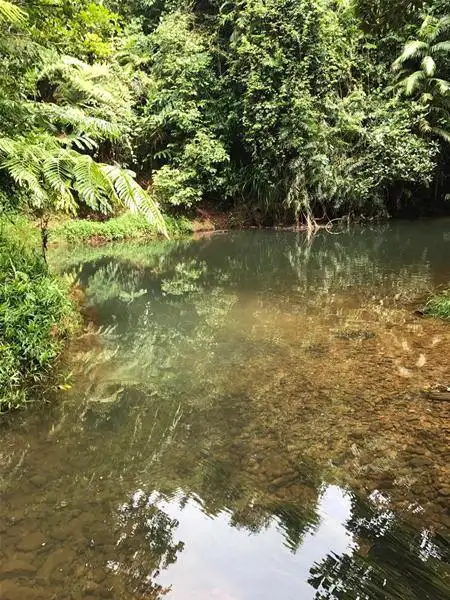 Fourth view of Homely land listing, LOT 106/Lot 106 Jackson Road, Shell Pocket QLD 4855