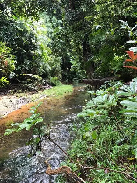 Sixth view of Homely land listing, LOT 106/Lot 106 Jackson Road, Shell Pocket QLD 4855