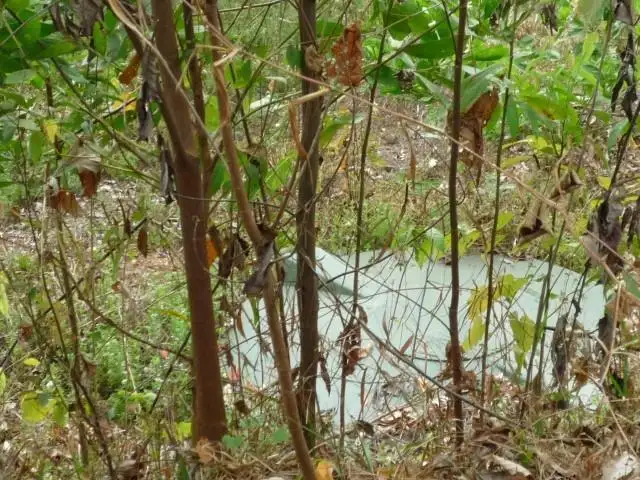 Seventh view of Homely land listing, LOT 106/Lot 106 Jackson Road, Shell Pocket QLD 4855