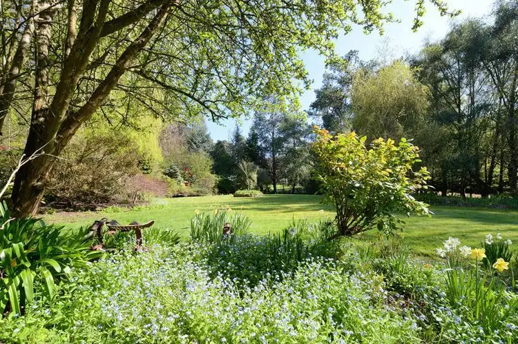 Third view of Homely house listing, 155 Castle Forbes Road, Castle Forbes Bay TAS 7116