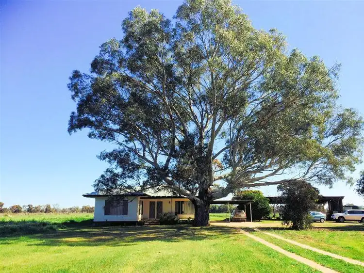Second view of Homely house listing, 275 Rudds Road, Iraak VIC 3494