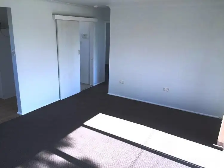 Fifth view of Homely house listing, 12 Muneela Avenue, Hawks Nest NSW 2324
