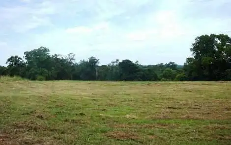 Fifth view of Homely rural property listing, 884 Old Northern Road, Glenorie NSW 2157