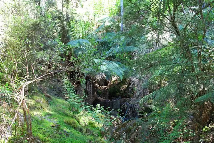 Fifth view of Homely land listing, 800 Crabtree Road, Crabtree TAS 7109