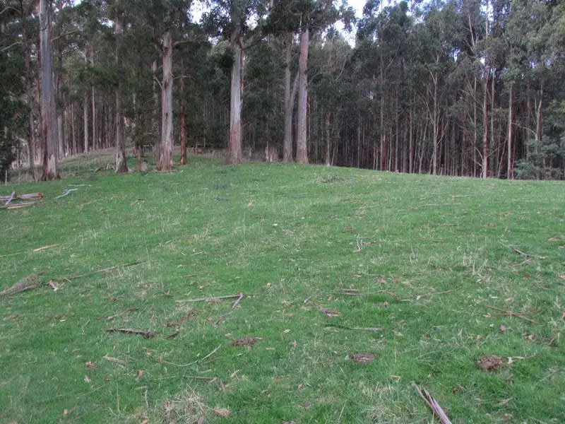Main view of Homely land listing, Lot 1 Hardy Road, Dover TAS 7117