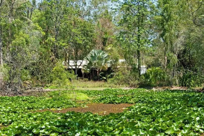 Main view of Homely house listing, 42 - 46 Violet Road, Greenbank QLD 4124