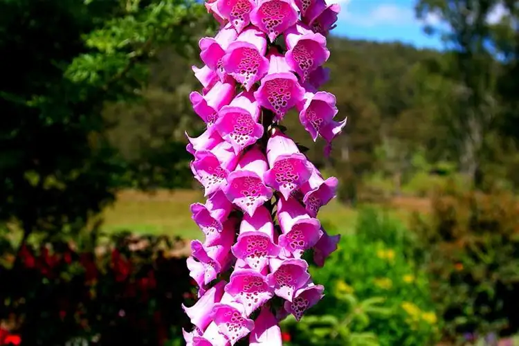 Fifth view of Homely house listing, 80 Britcliffes Road, Geeveston TAS 7116