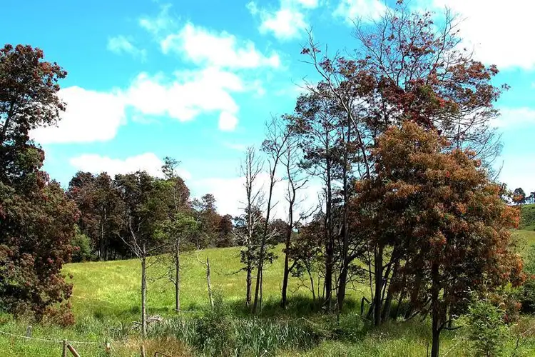 Fifth view of Homely land listing, 2 179 Fourfoot Road, Geeveston TAS 7116