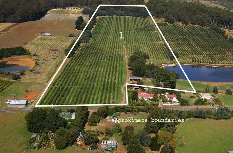 Main view of Homely land listing, Lots 1 & 2 Arve Road, Geeveston TAS 7116
