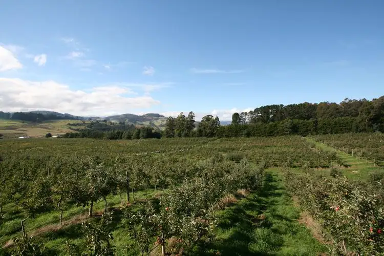 Second view of Homely land listing, Lots 1 & 2 Arve Road, Geeveston TAS 7116