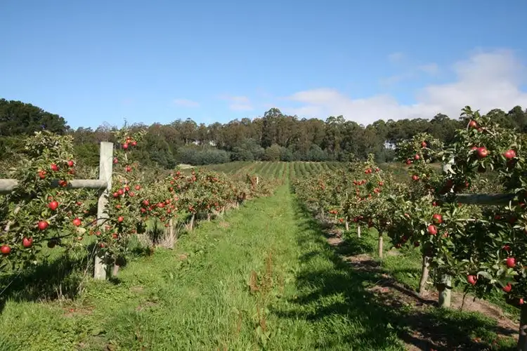 Fourth view of Homely land listing, Lots 1 & 2 Arve Road, Geeveston TAS 7116