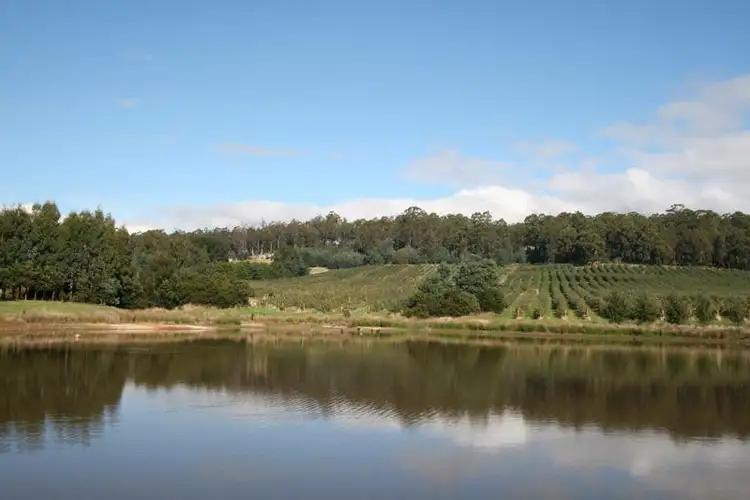 Fifth view of Homely land listing, Lots 1 & 2 Arve Road, Geeveston TAS 7116