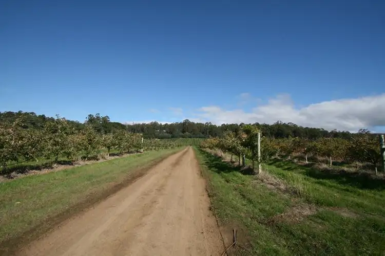 Seventh view of Homely land listing, Lots 1 & 2 Arve Road, Geeveston TAS 7116