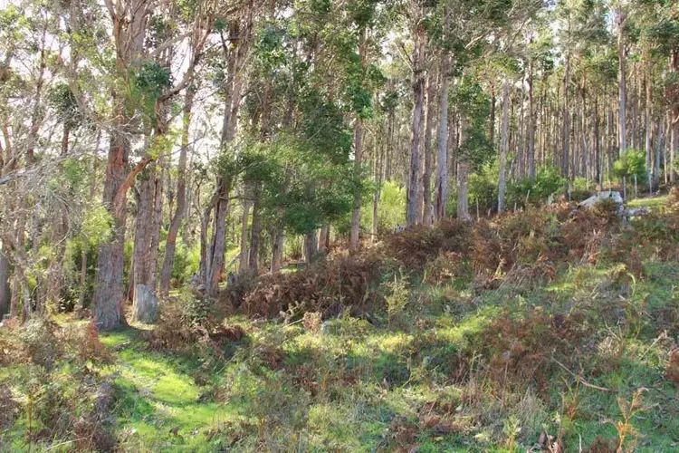 Third view of Homely land listing, 5217 Huon Highway, Geeveston TAS 7116