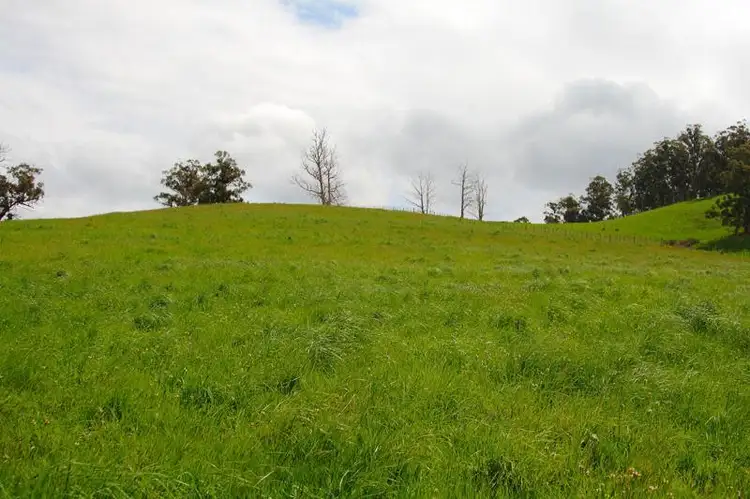 Second view of Homely house listing, 101 Slab Road, Cygnet TAS 7112