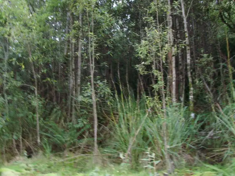 Second view of Homely land listing, LOT 1 Tobys Hill Road, Cygnet TAS 7112