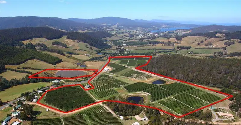 Main view of Homely land listing, 7891 Channel Highway, Cygnet TAS 7112