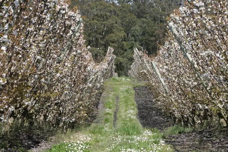 Third view of Homely land listing, 7891 Channel Highway, Cygnet TAS 7112