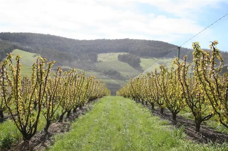 Seventh view of Homely land listing, 7891 Channel Highway, Cygnet TAS 7112