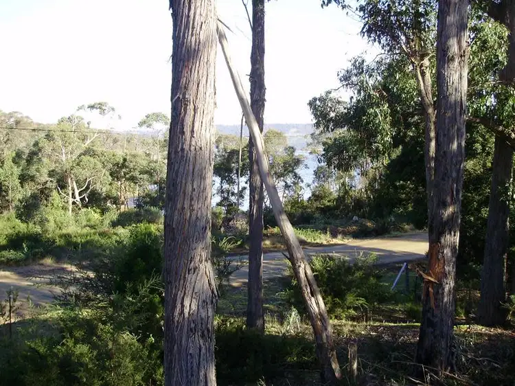 Main view of Homely land listing, 473 Abels Bay Road, Abels Bay TAS 7112