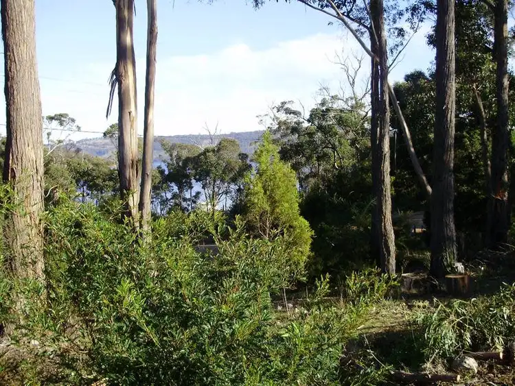 Third view of Homely land listing, 473 Abels Bay Road, Abels Bay TAS 7112