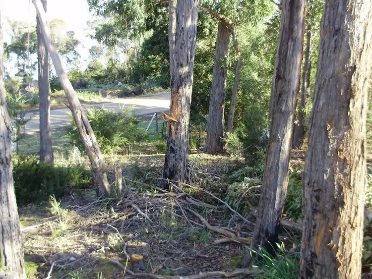 Seventh view of Homely land listing, 473 Abels Bay Road, Abels Bay TAS 7112