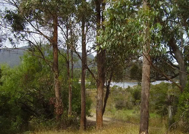 Sixth view of Homely house listing, 10 McClyments Road, Raminea TAS 7109