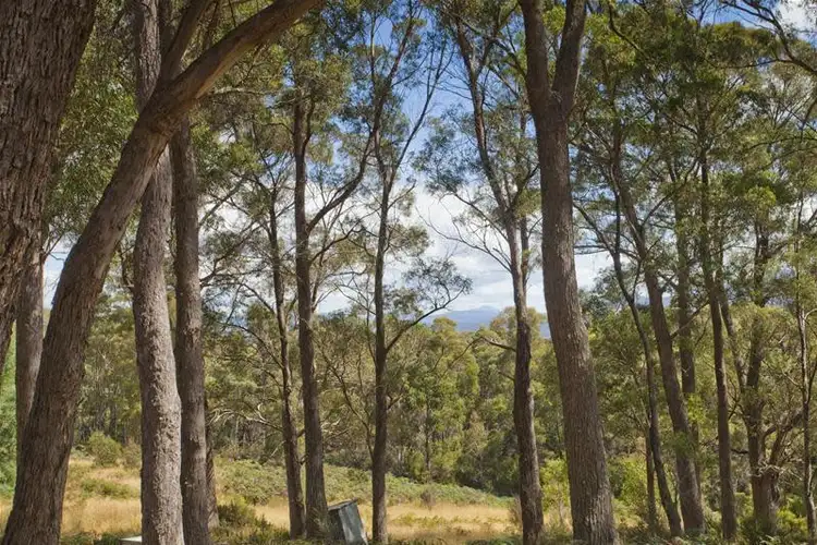 Second view of Homely land listing, 3 Gums Road, Mountain River TAS 7109