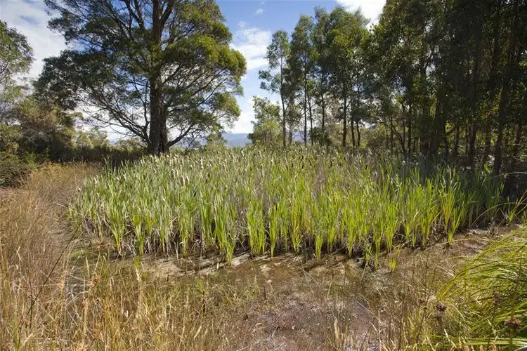 Second view of Homely land listing, 1 Gums Road, Mountain River TAS 7109
