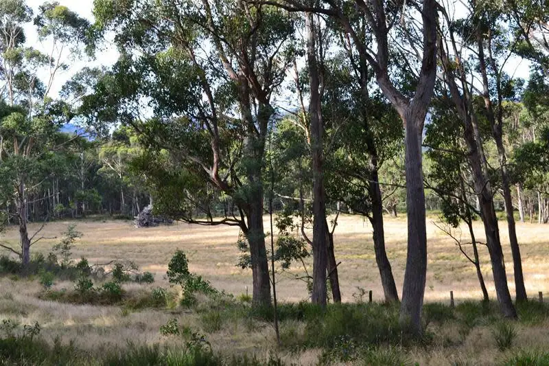 Main view of Homely land listing, HOPE Valley Lane, Mountain River TAS 7109