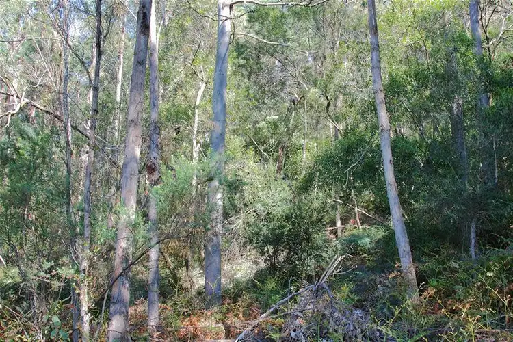 Fourth view of Homely land listing, 1(ct147069/1) Bakers Creek Road, Lucaston TAS 7109