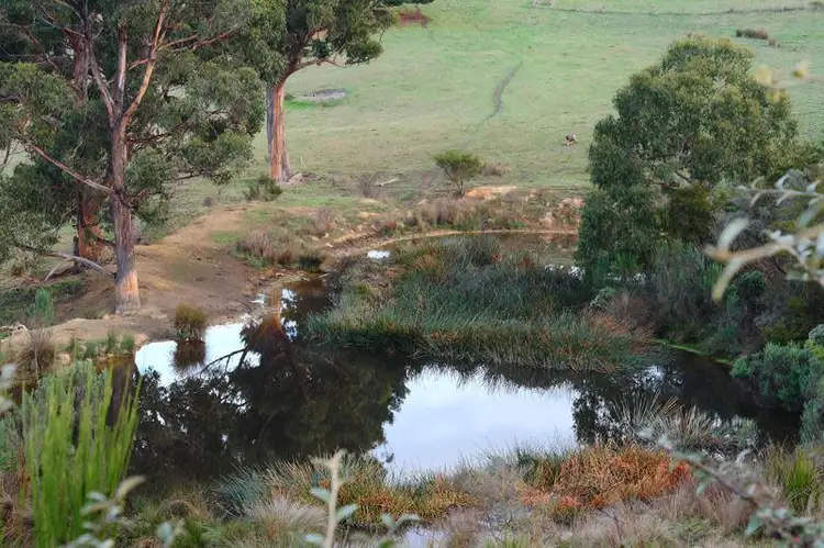 Second view of Homely land listing, 115 Cross Road, Lucaston TAS 7109